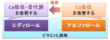 エディロール』と『アルファロール』、同じビタミンD3製剤の違いは？～骨代謝とカルシウム吸収 | お薬Q＆A 〜Fizz Drug Information〜 さん